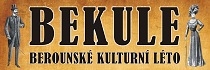 Logo akce