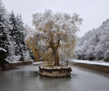 M. Bergerová: Rybníček v Brdatkách