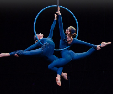 Czech Aerial Hoop Art 2025