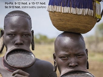 Fotogalerie